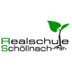 RSSchoellnach
