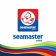 SeamasterPaint