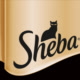 Sheba Official Avatar