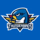 ThunderbirdsAHL