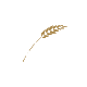Vakantiepark-de-koornaar