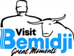 VisitBemidji