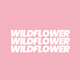 WildflowerSpace
