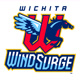 WindSurgeICT