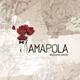 amapola_exclusive_events