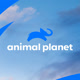 animalplanet