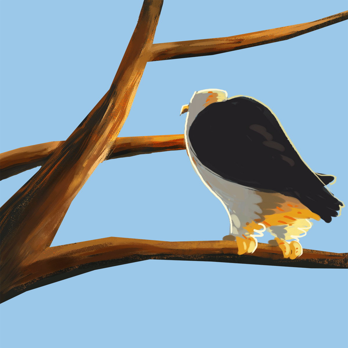 Letter F Gifs Get The Best Gif On Giphy