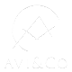 aviandco