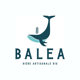 balea_beer