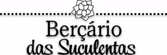 bercariodassuculentas