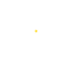 betturkey