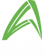 bioenergeticaaroeira