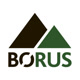 borus124