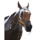 Breeders' Cup World Championships Avatar