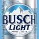 Busch Avatar