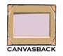 Canvasback Music Avatar