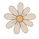 caroligalvao
