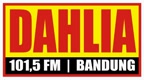 dahliafm1015