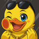 duckracegp