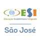 esicolegiosaojose