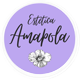 esteticaamapola