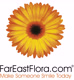 fareastfloracom