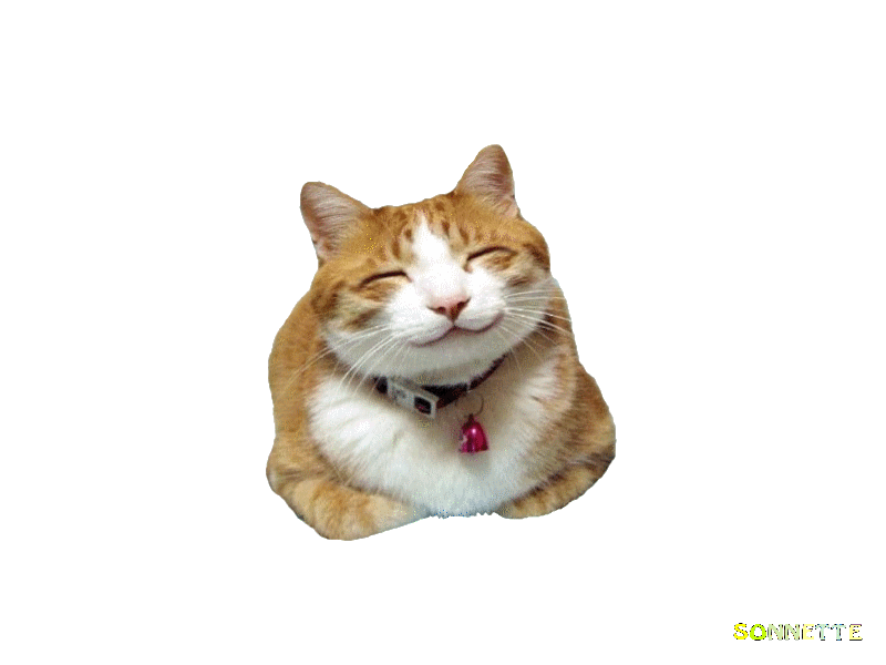 Giphy profile picture for @fawning