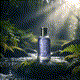 fragrancefocus