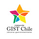 GIST Chile Foundation Avatar