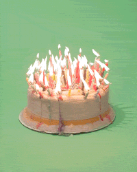 Featured image of post Happy Birthday Gif Cat Cake Anime cat tastes someone s birthday cake