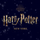 harrypotterny