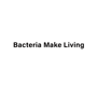 bacteriamakeliving
