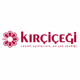 kircicegi