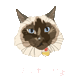 mikizone