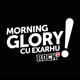 morningglorycurazvanexarhu