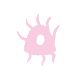 msilbernagel
