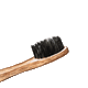 natboobrush