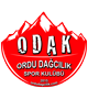 ordudagcilik