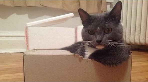 Giphy profile picture for @other