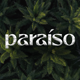 paraisorecords