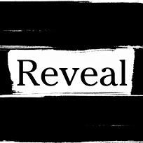 Giphy profile picture for @reveal