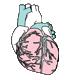 sejomora
