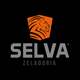 selvazeladoria