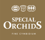 specialorchids