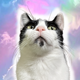 stinkyzaba