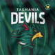 tasmaniafc