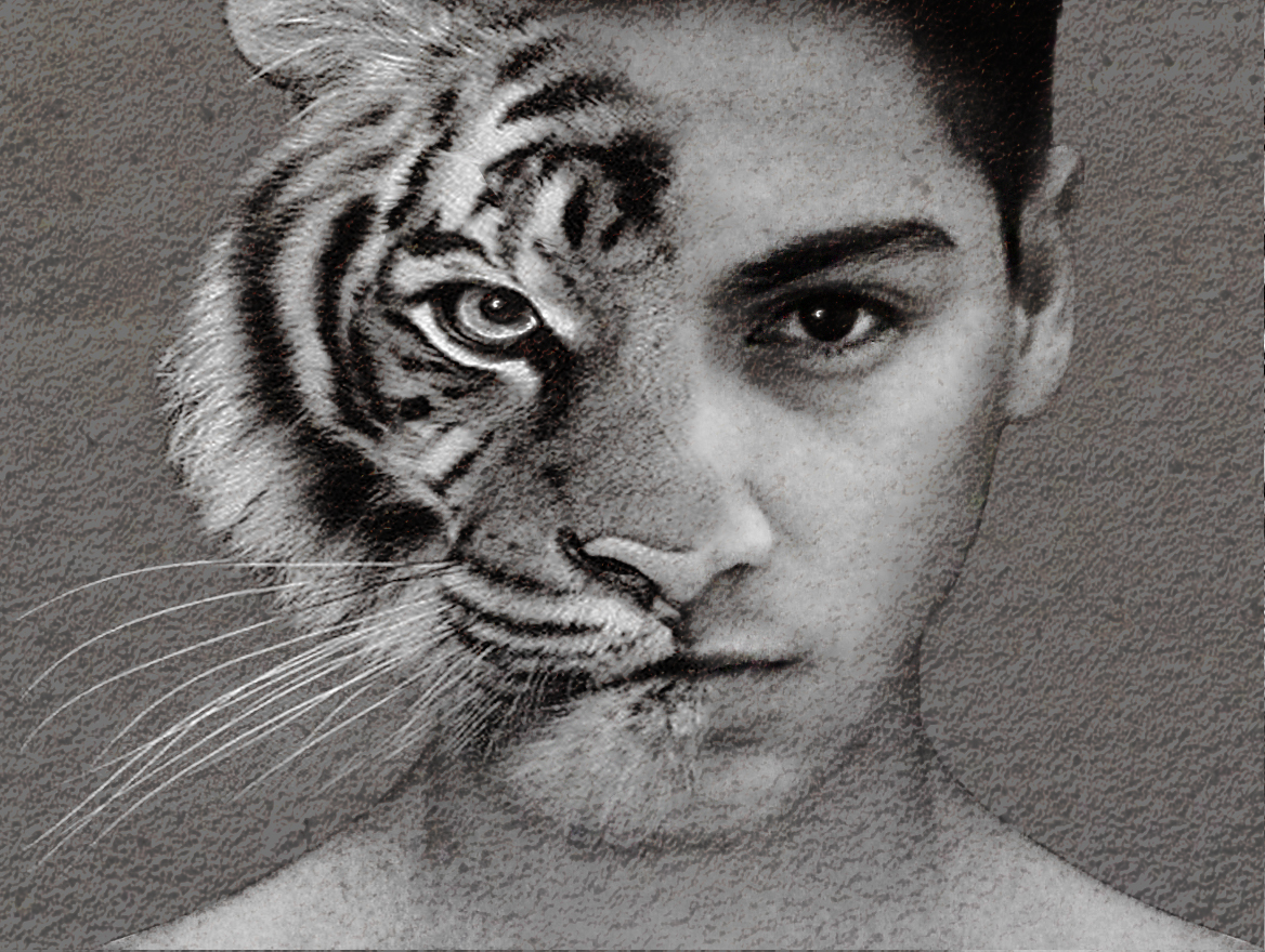 Giphy profile picture for @theboss