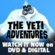 The Yeti Adventures Avatar