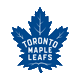 Toronto Maple Leafs Avatar