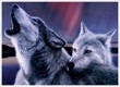 wolflover